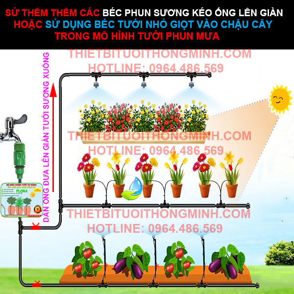 Hệ thống tưới phun mưa tưới rau tự động ống 10mm trên sân thượng, ban công