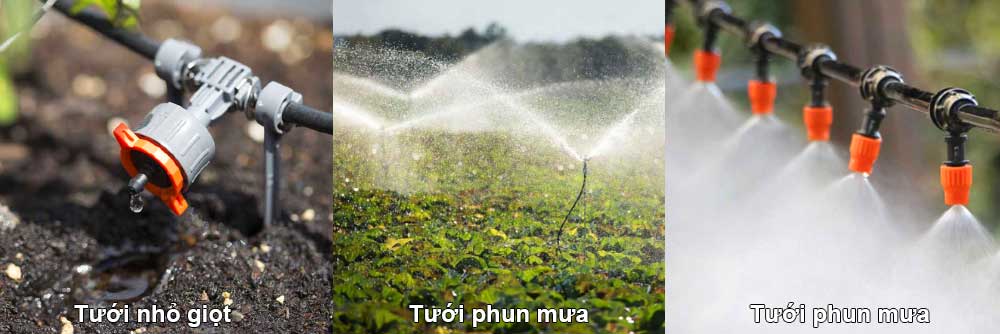 hệ thông tưới nhỏ giọt phun mưa phun sương