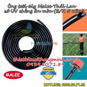 Ống mềm Pe 6mm Malee thái lan