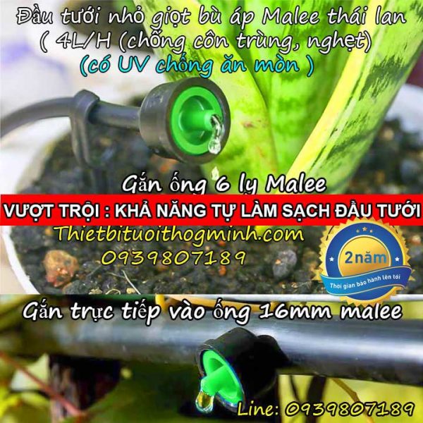 Béc nhỏ giọt bù áp lưu lượng 4 lít Malee thái lan