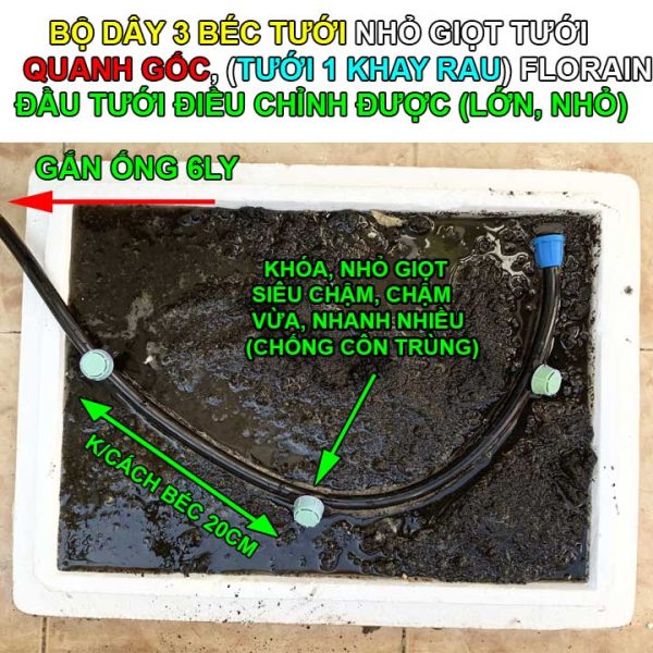 Đầu béc tưới nhỏ giọt khay thùng xốp trồng rau, quấn quanh góc FLorain